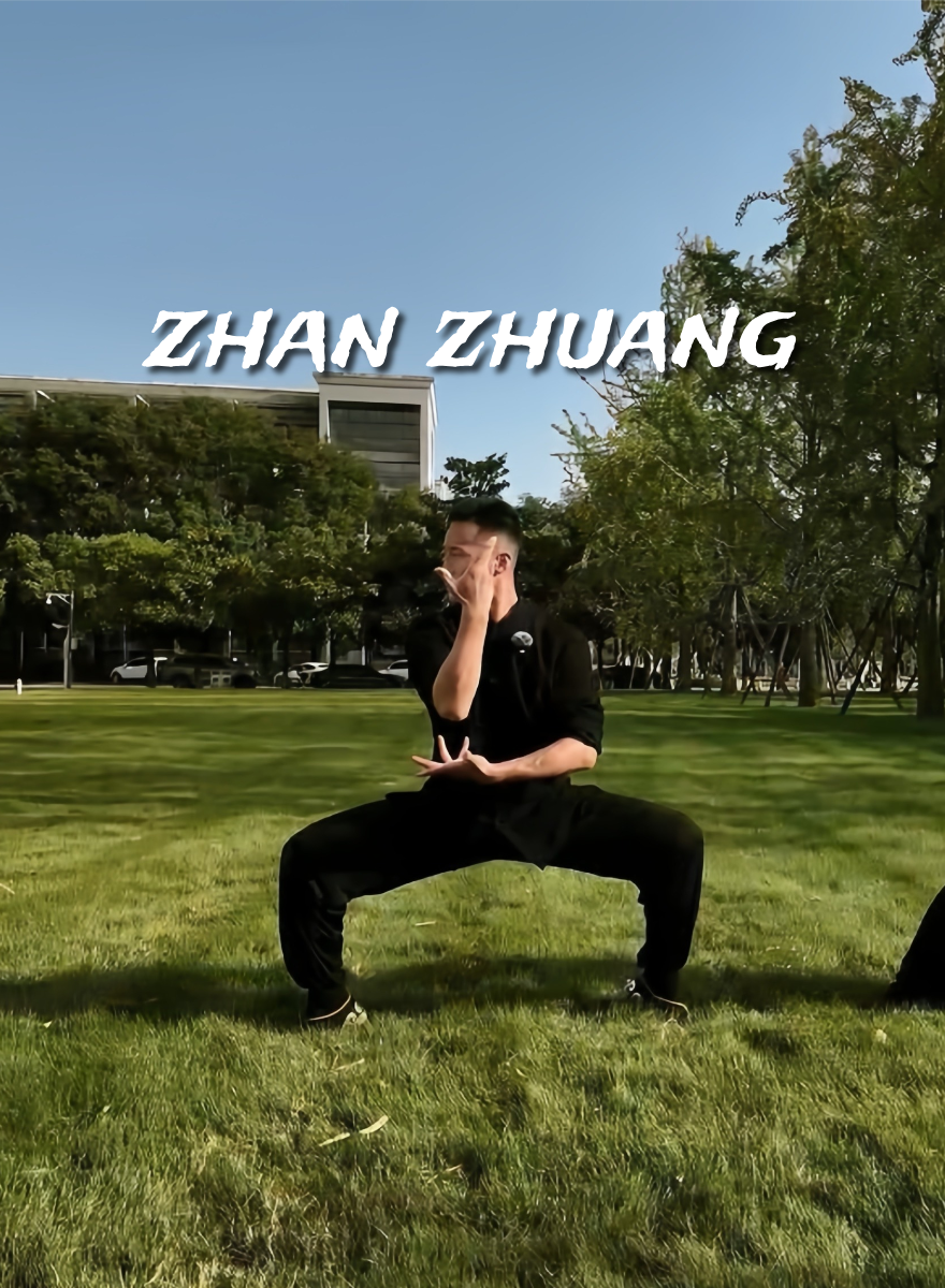 Zhan Zhuang (Standing Meditation)